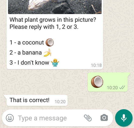 Emoji Reply SMS, Voice, WhatsApp, and Airtime Campaigns in 200+ Countries